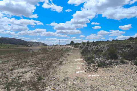 Landejendom i Yecla, Murcia, Yecla - € 225.000 | Ref: SF0527 - foto 37